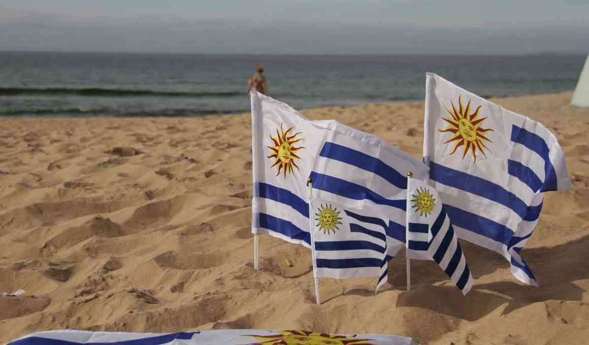 Google Selecciona A Uruguay Para Albergar Al Segundo Centro De Datos De América Latina